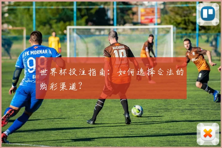 世界杯投注指南：如何选择合法的购彩渠道？