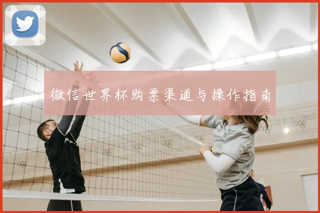 微信世界杯购票渠道与操作指南