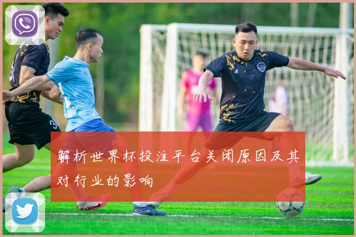 解析世界杯投注平台关闭原因及其对行业的影响