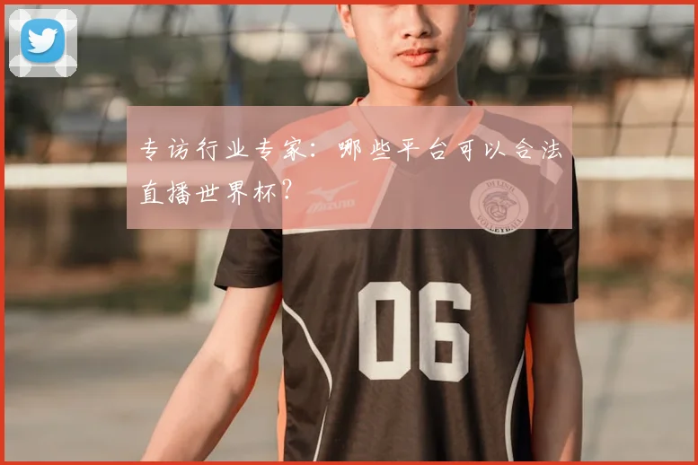 专访行业专家：哪些平台可以合法直播世界杯？