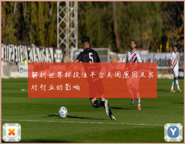 解析世界杯投注平台关闭原因及其对行业的影响