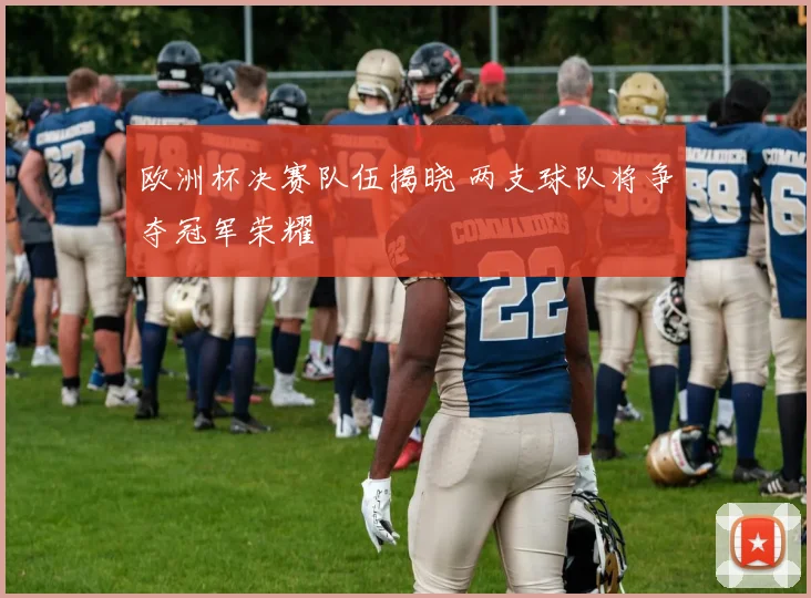 欧洲杯决赛队伍揭晓 两支球队将争夺冠军荣耀