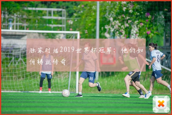 独家对话2019世界杯冠军:他们如何铸就传奇
