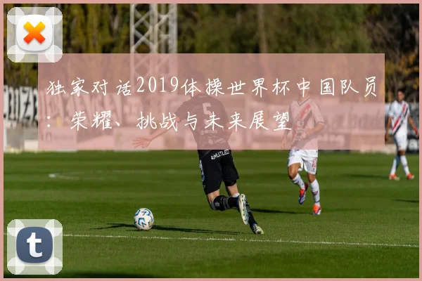 独家对话2019体操世界杯中国队员：荣耀、挑战与未来展望