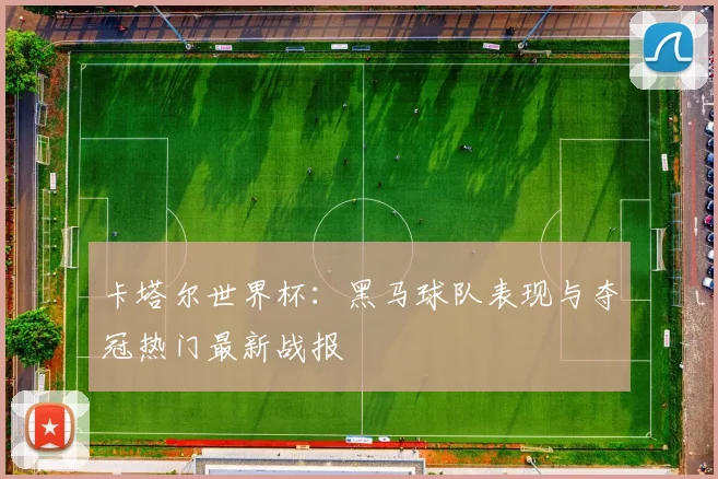卡塔尔世界杯：黑马球队表现与夺冠热门最新战报
