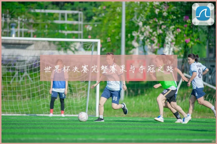 世界杯决赛完整赛果与夺冠之路