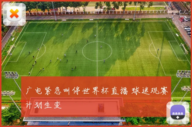 广电紧急叫停世界杯直播 球迷观赛计划生变