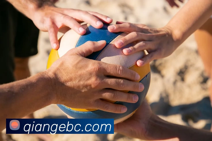 App Interface Preview